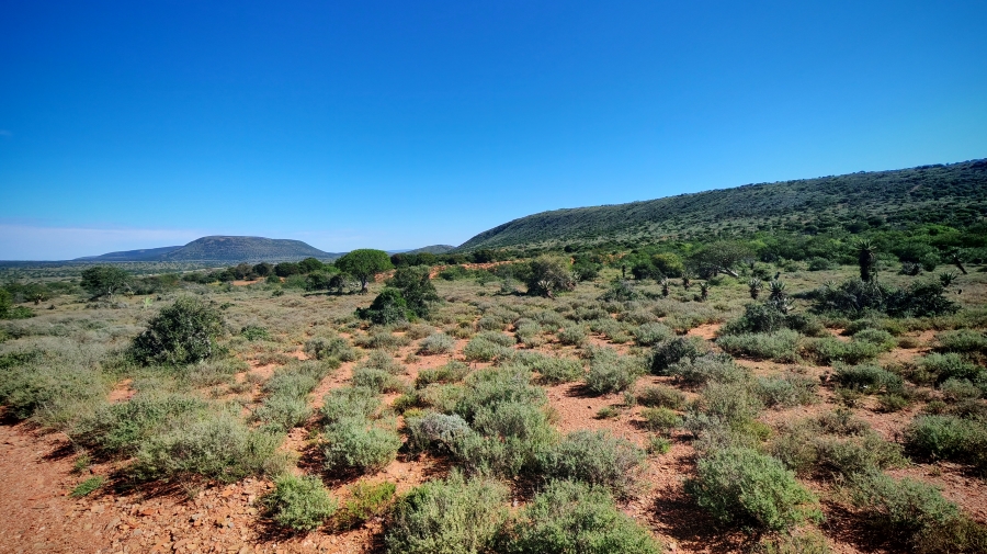 0 Bedroom Property for Sale in Somerset East Rural Eastern Cape